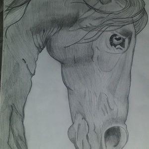 Meet your Posher, Brandi